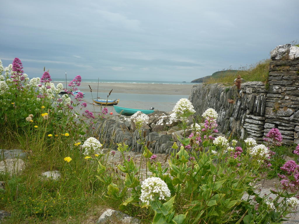 Tabor House B&B Fishguard Dış mekan fotoğraf