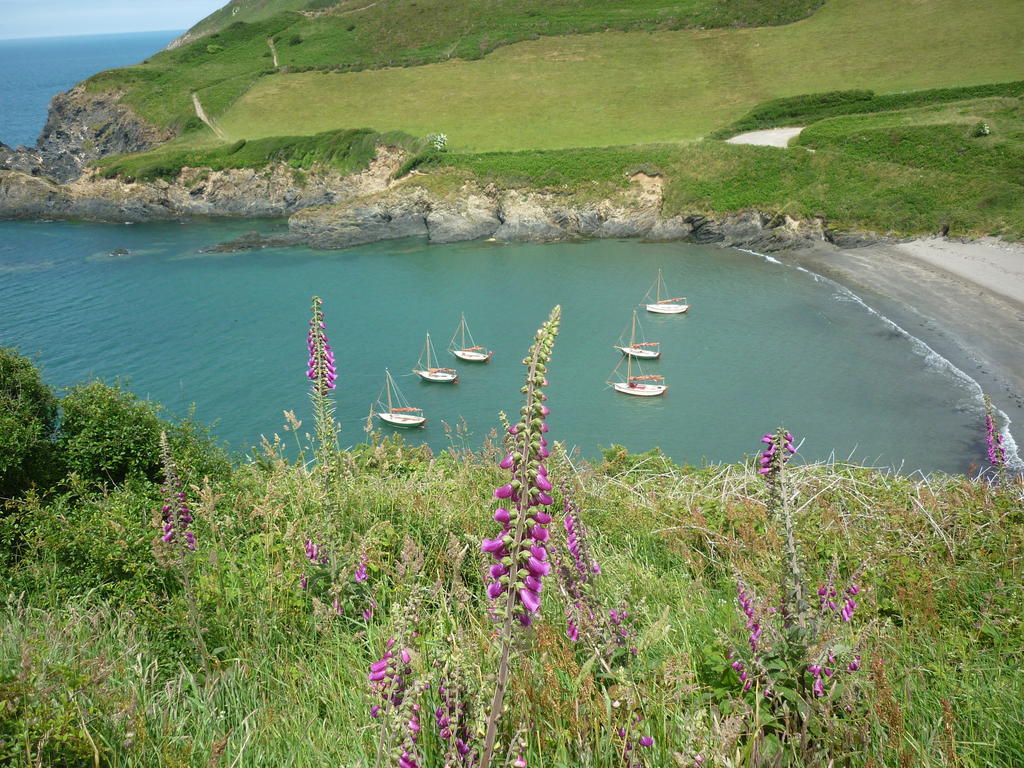 Tabor House B&B Fishguard Dış mekan fotoğraf