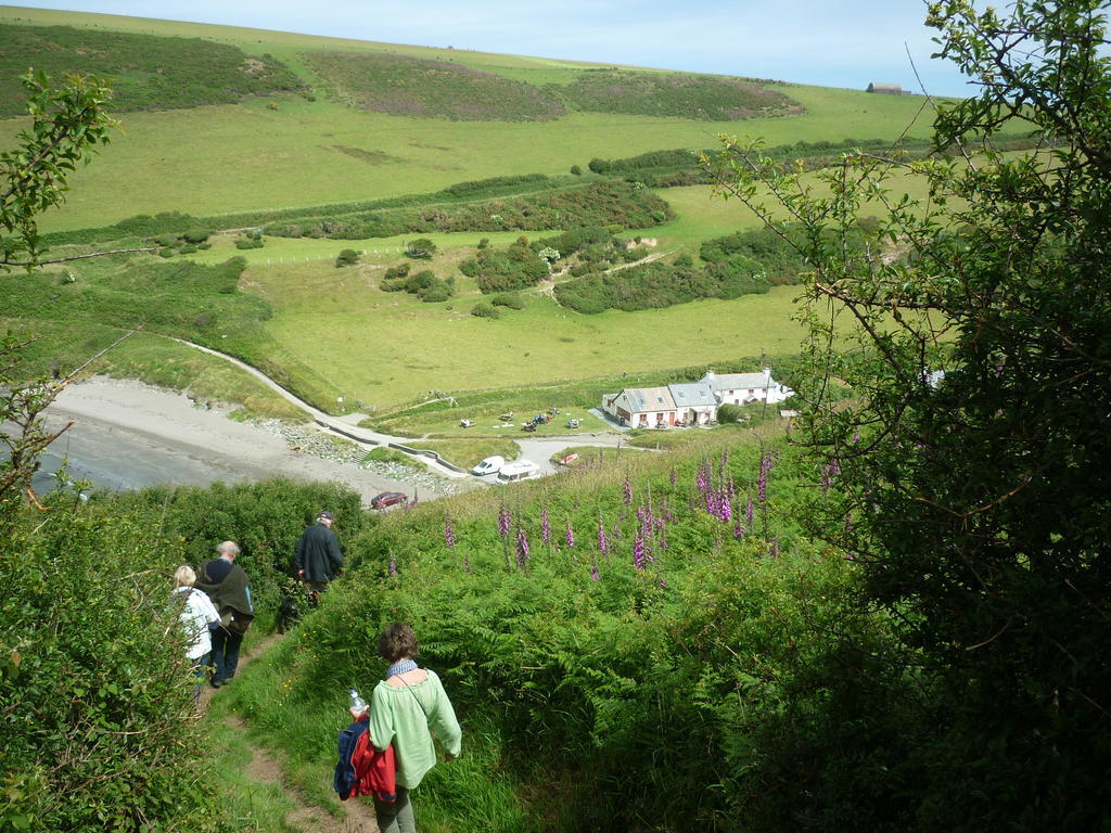 Tabor House B&B Fishguard Dış mekan fotoğraf