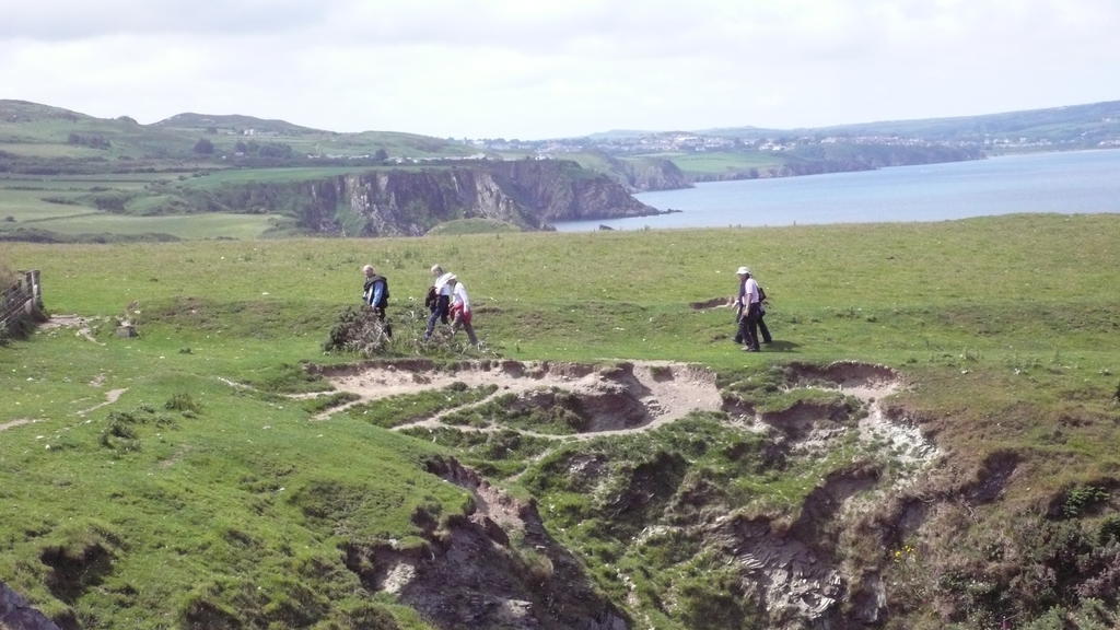 Tabor House B&B Fishguard Dış mekan fotoğraf