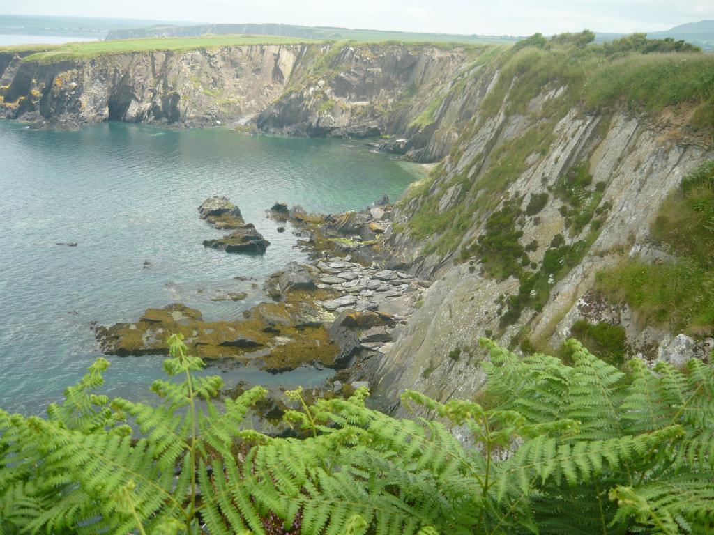 Tabor House B&B Fishguard Dış mekan fotoğraf