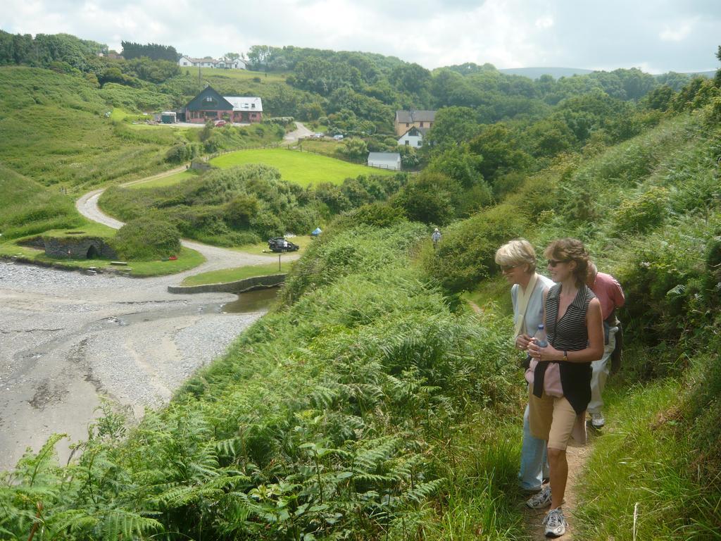 Tabor House B&B Fishguard Dış mekan fotoğraf